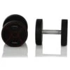 Gymstick Pro PU Dumbbells 2 X 20kg
