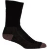 Icebreaker Hike+ Medium Crew Socks Men Black/mink/monsoon
