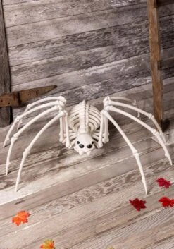 Skeleton Spider